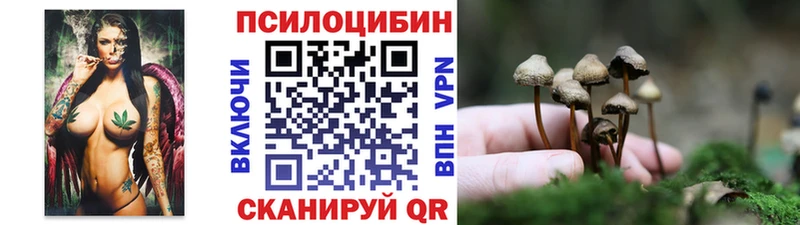 Псилоцибиновые грибы мицелий  Гороховец 